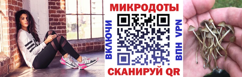 Галлюциногенные грибы Cubensis  mega зеркало  Владикавказ 