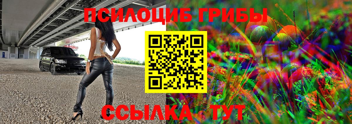 Галлюциногенные грибы Cubensis  Галлюциногенные грибы GOLDEN TEACHER  Владикавказ 