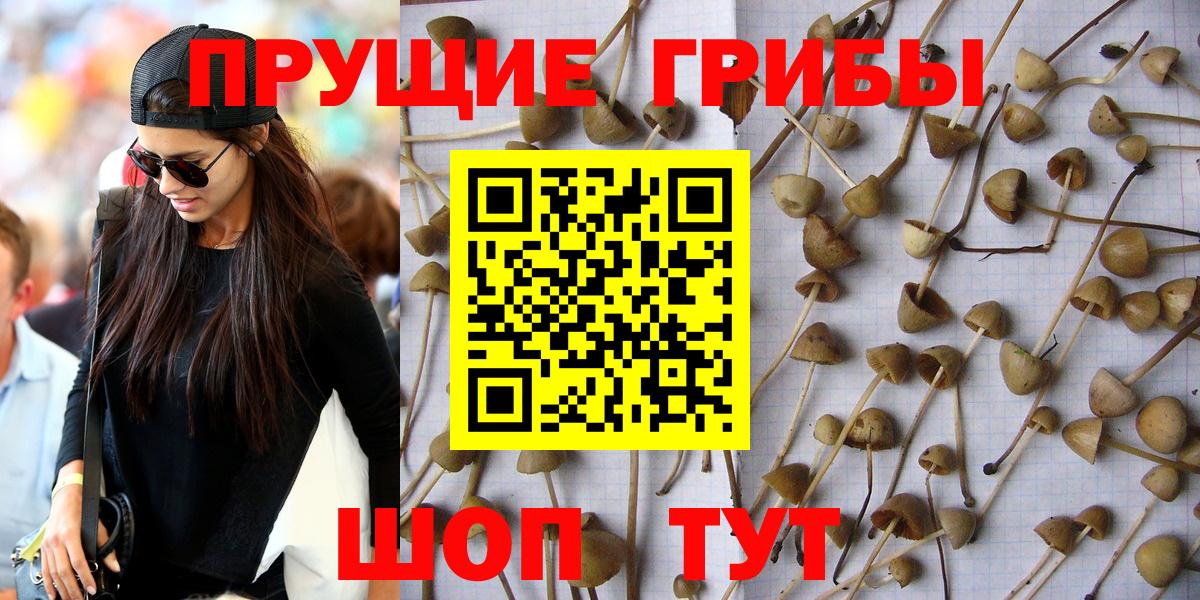 Галлюциногенные грибы мицелий  Вход с VPN  Владикавказ 