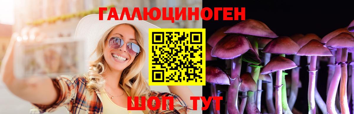 Псилоцибиновые грибы прущие грибы Владикавказ