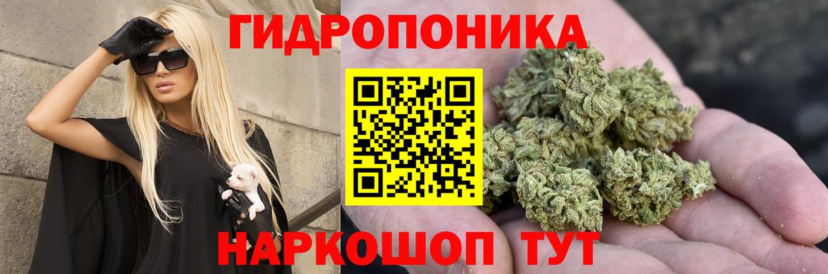 Конопля сатива Владикавказ